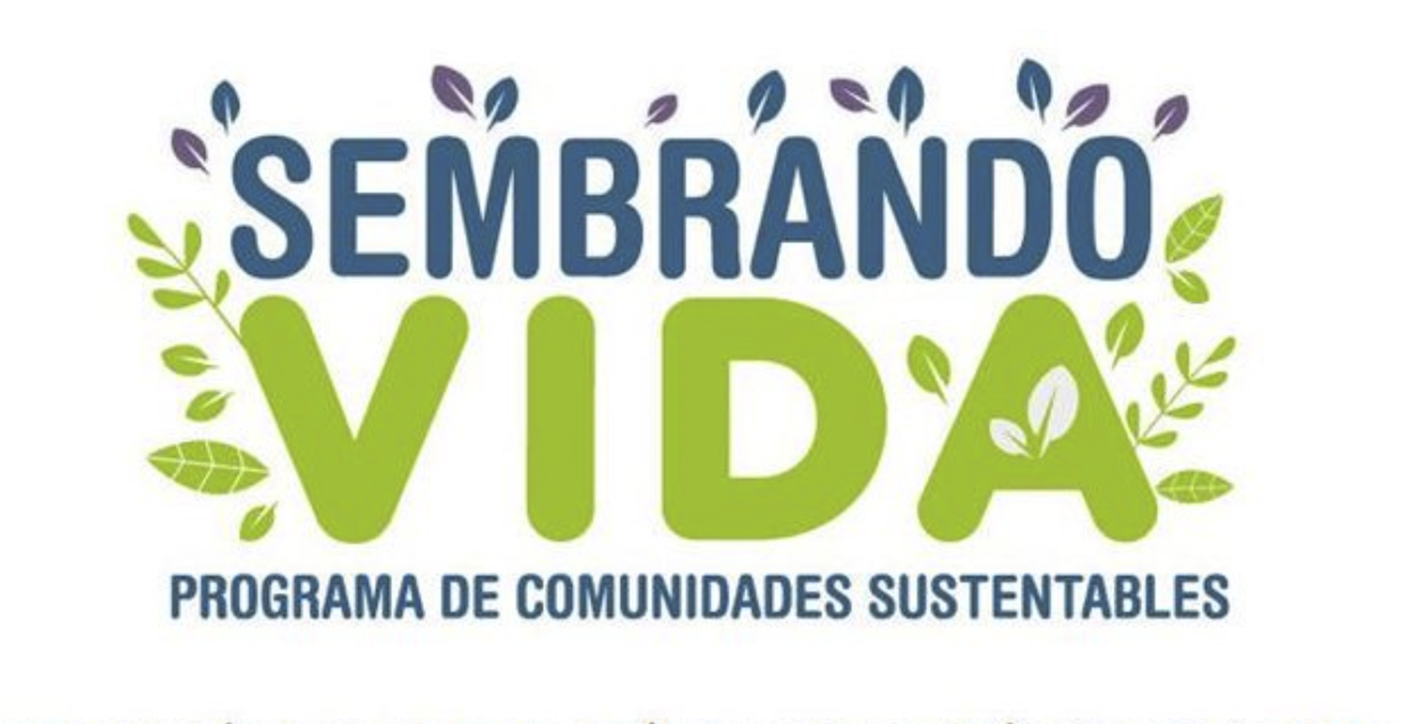 Inicia programa ‘Sembrando Vida’