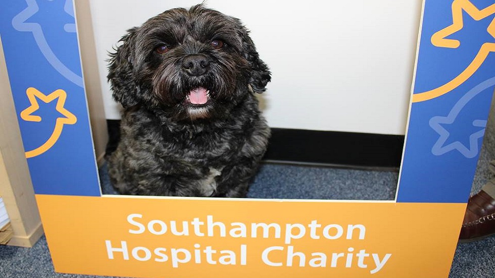 Perro se convierte en héroe tras despertar del coma a su dueño