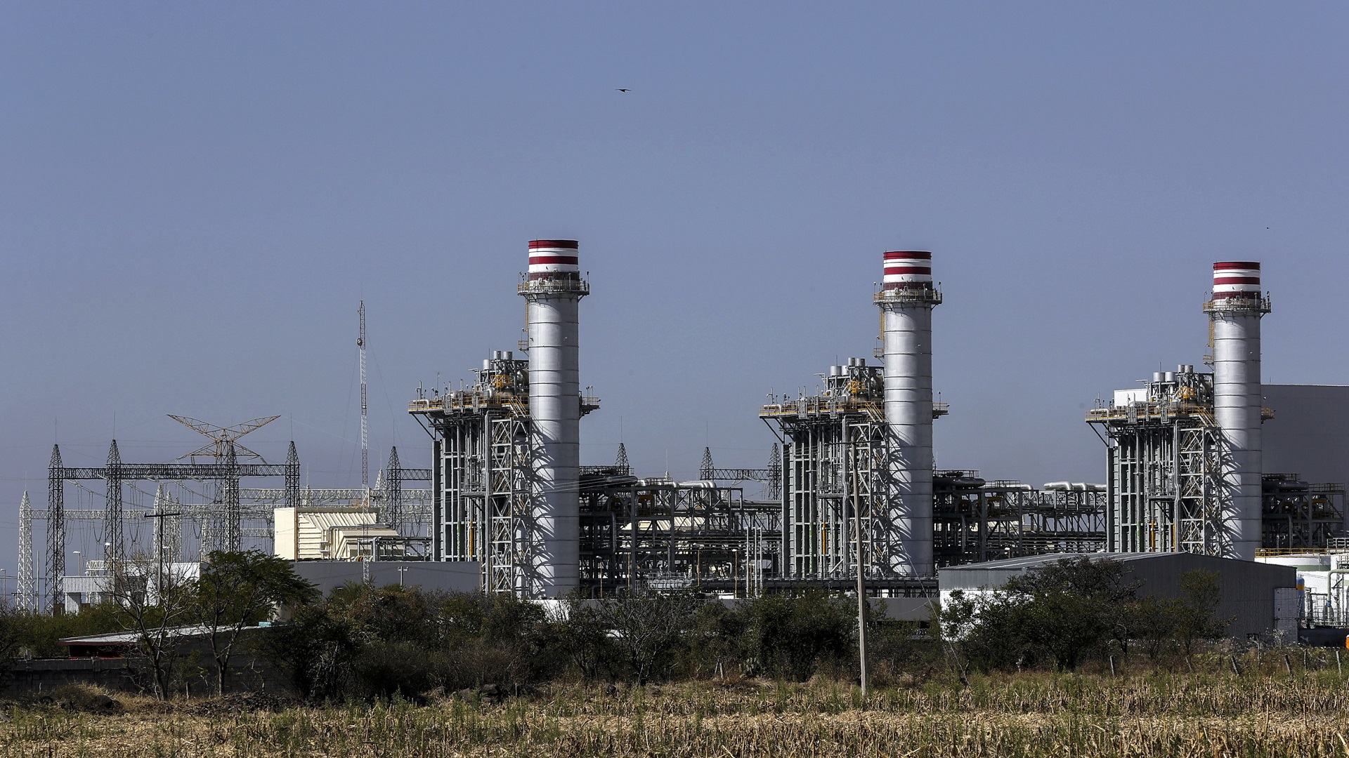 Homicidio de activista no detendrá consulta en Morelos: AMLO