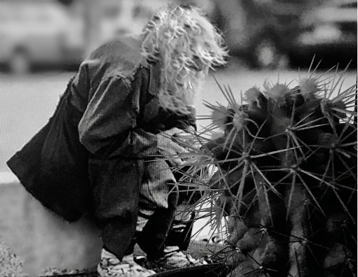 En la Iglesia de San Agustín