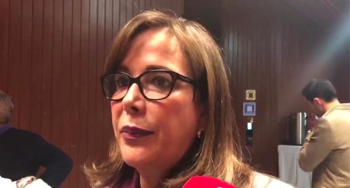 Candidato de Morena a Puebla se definirá en encuesta: Polevnsky