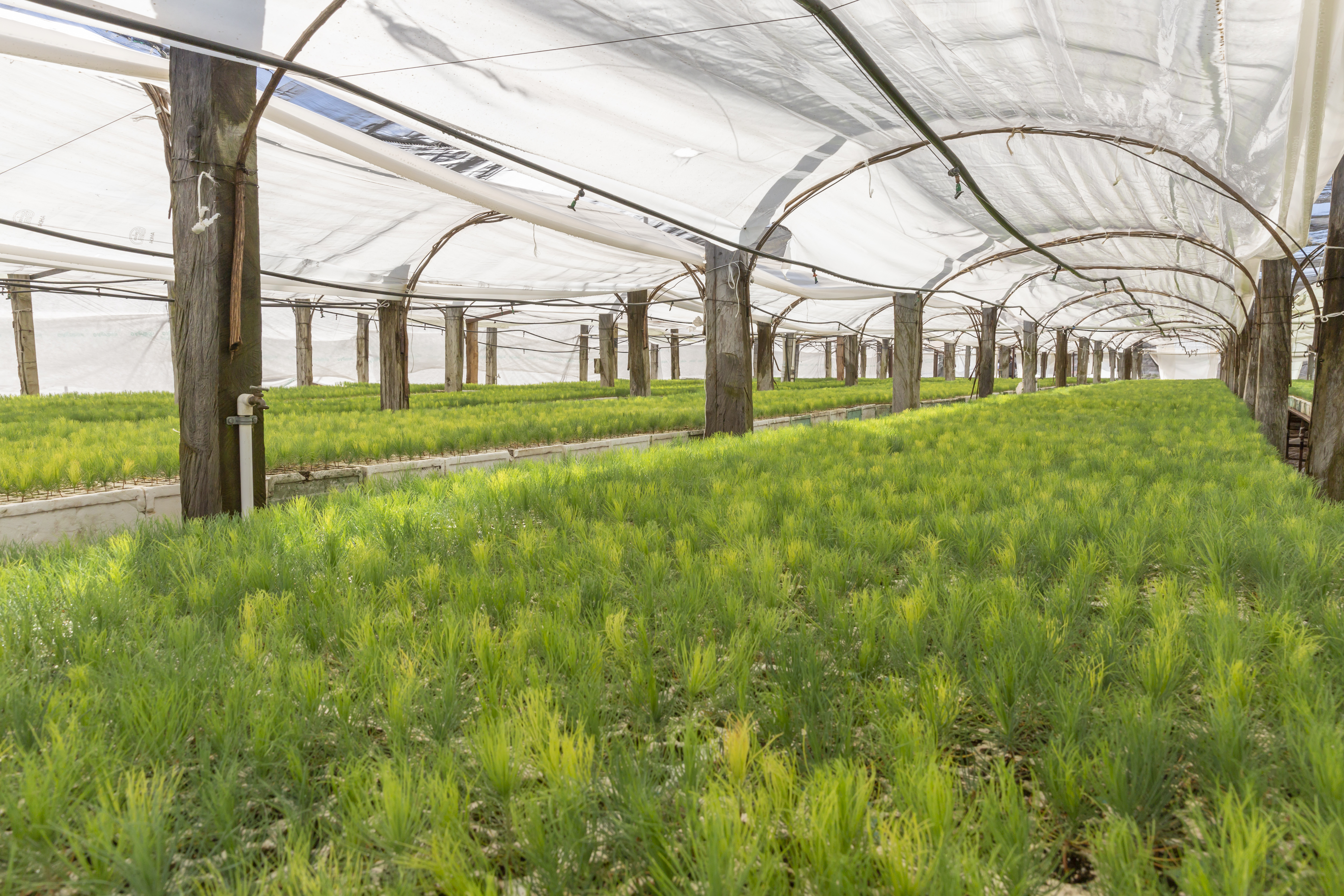 Reabastecer, reducir y reutilizar el agua: cada gota cuenta - 32a5342