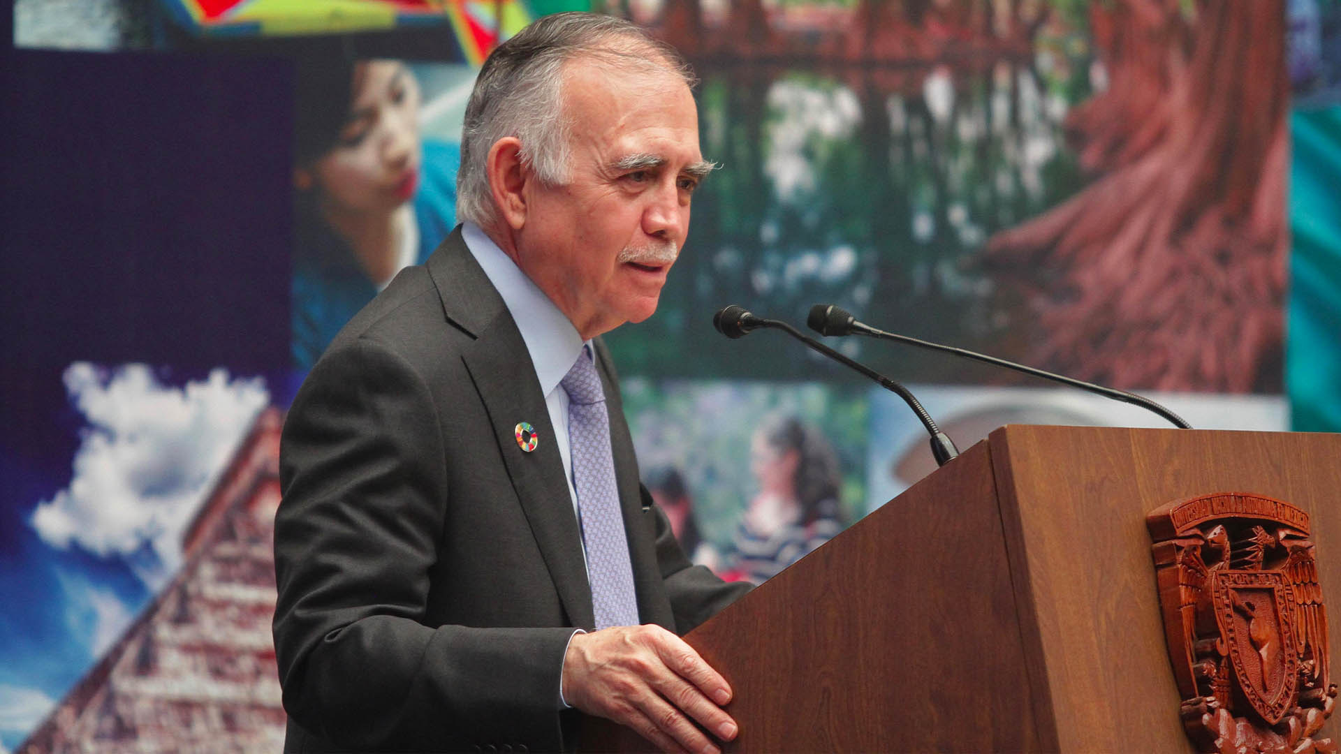 AMLO evaluará licitaciones petroleras y decidirá si las reactiva: Romo