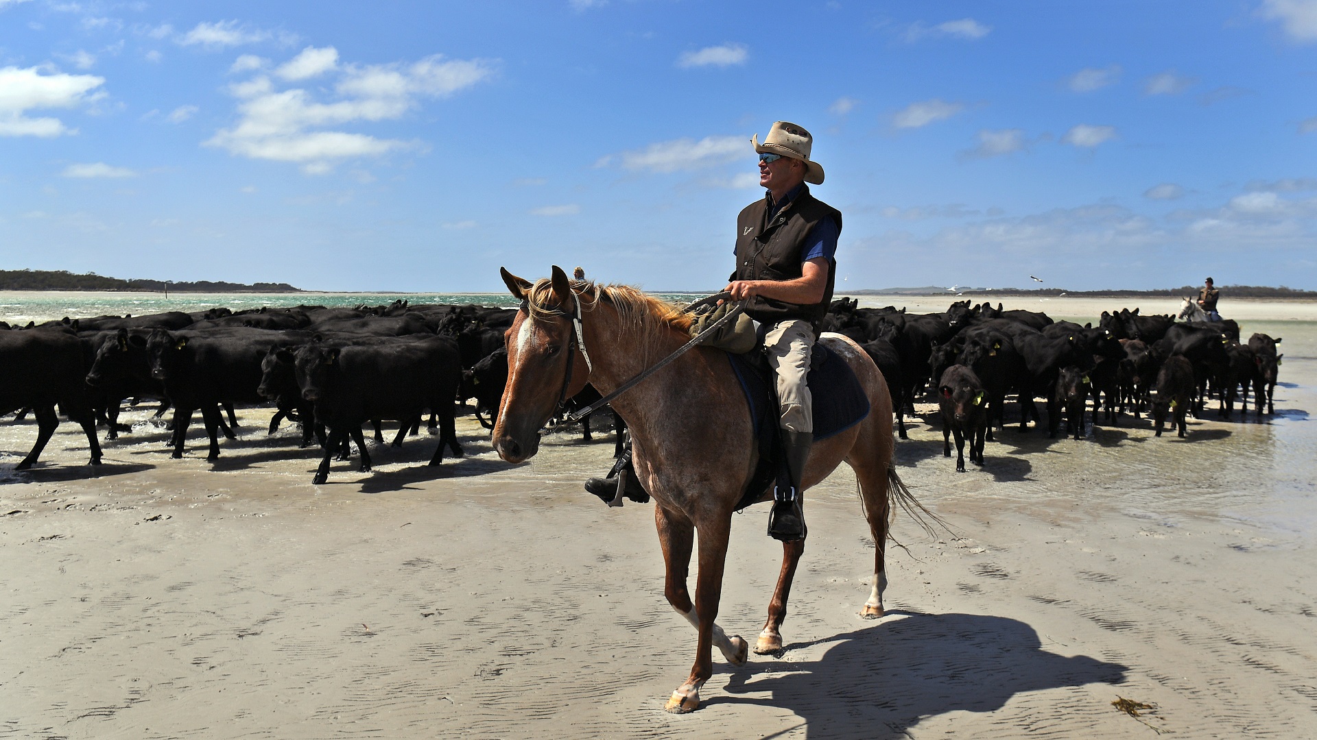 Isla de Australia tiene el aire más puro de la Tierra - arreo-de-ganado