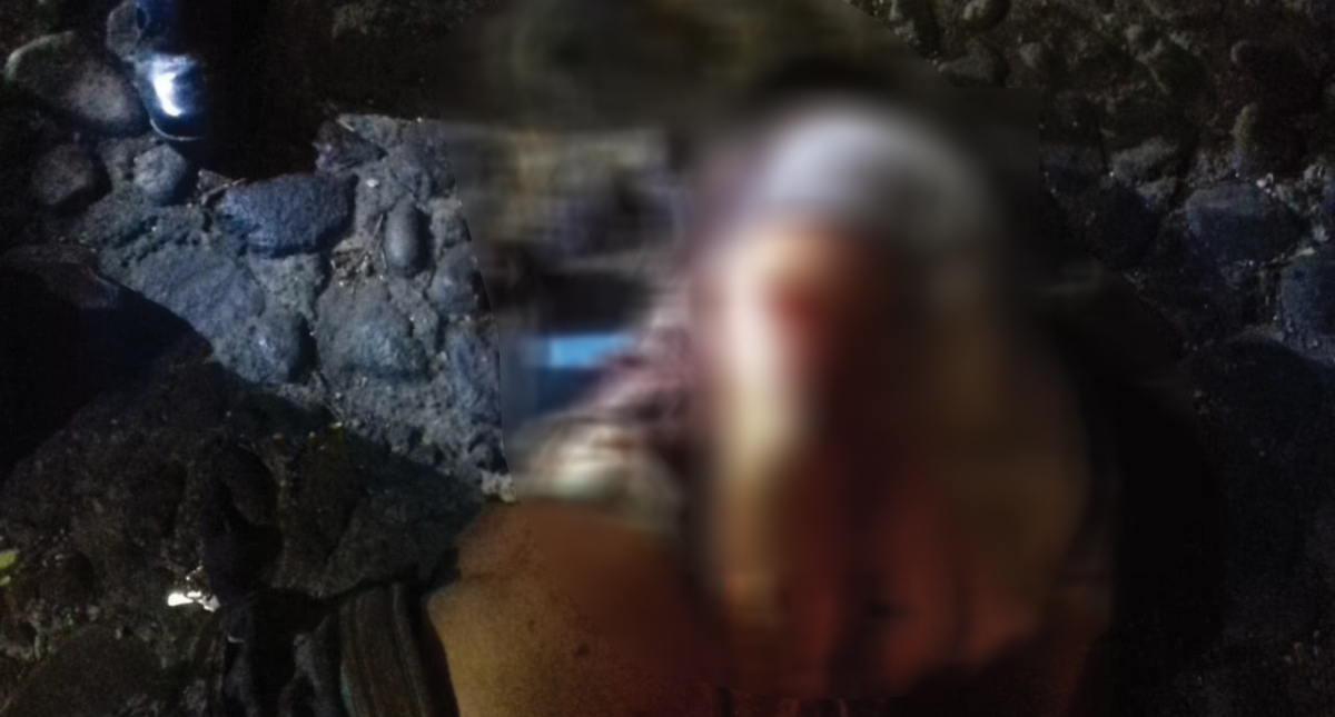 Intento de asalto a MacStore en San Ángel deja tres heridos