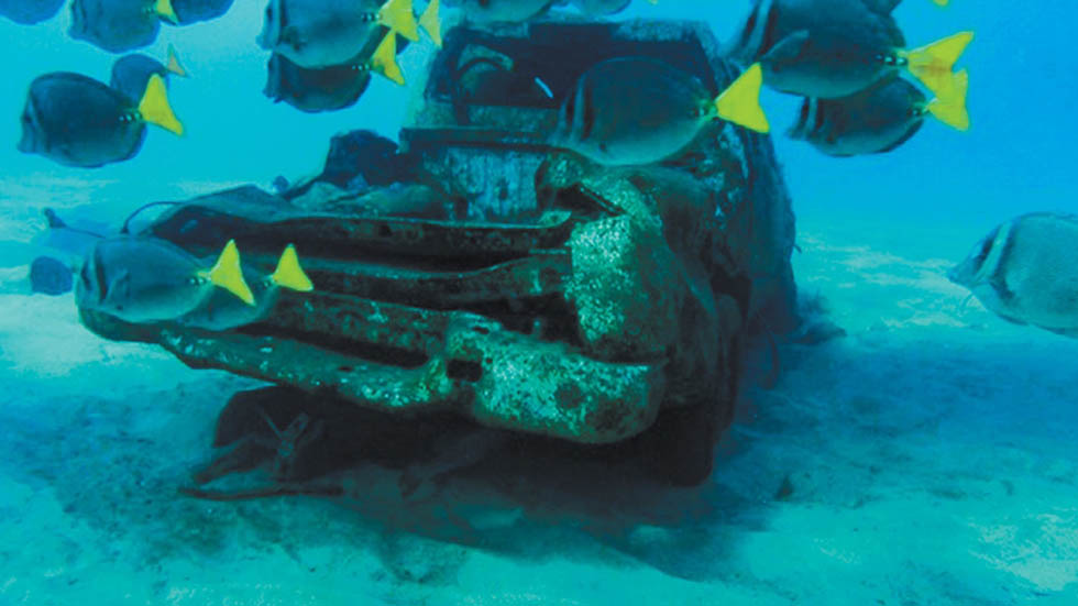 Limpian desechos del huracán Odile en mar de BCS