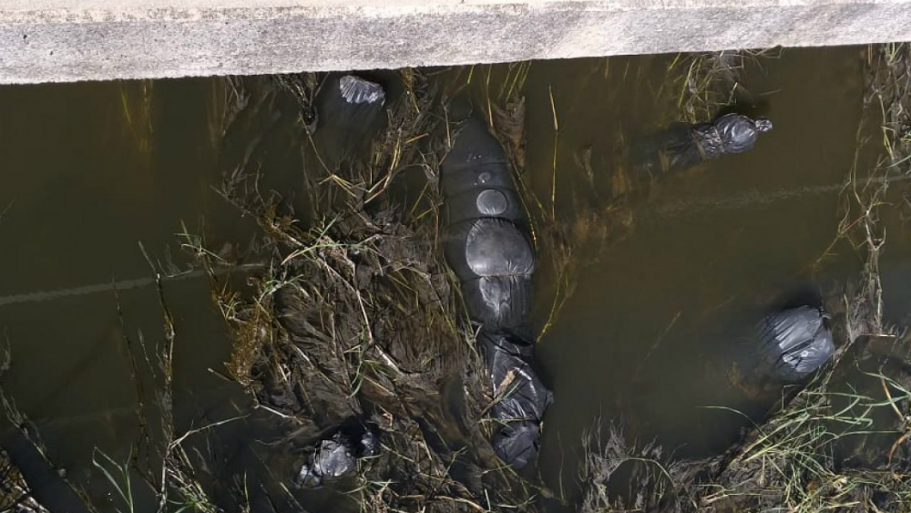 Hallan 19 bolsas con restos humanos en canal de aguas negras en Jalisco