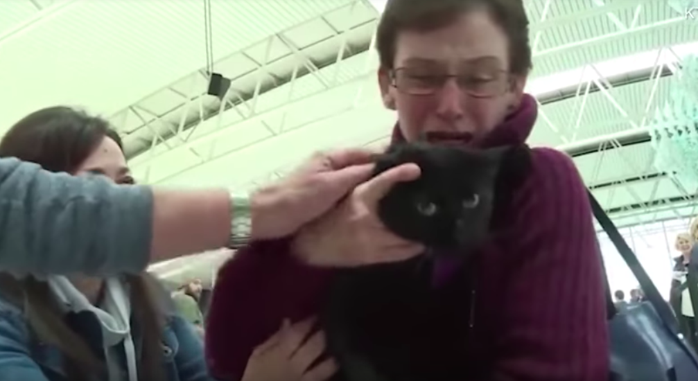#Video Gato perdido en incendio en California se reúne con su familia