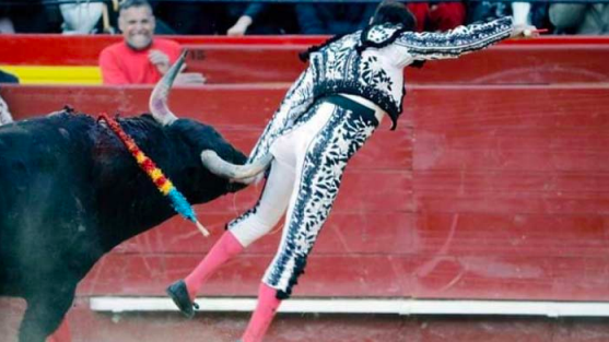 De sol y sombra: crónicas y periodismo taurino independiente De sol y sombra: crónicas y periodismo taurino independiente