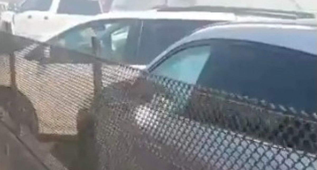 #Video Carambola en Veracruz deja 17 personas lesionadas