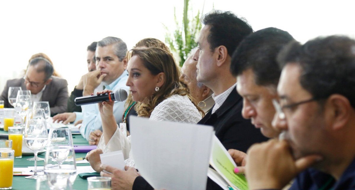 PRI solicita al INE organizar la renovación de su dirigencia nacional