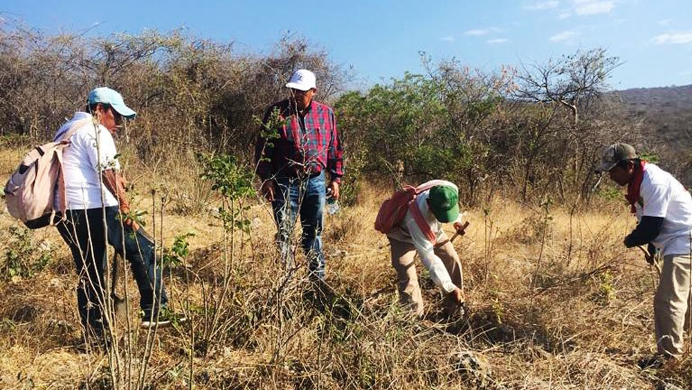 CNDH acompaña a fosas a familiares de desaparecidos en Iguala