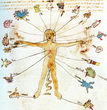 Historia viva: La medicina y la magia entre los nahuas - codicevaticano