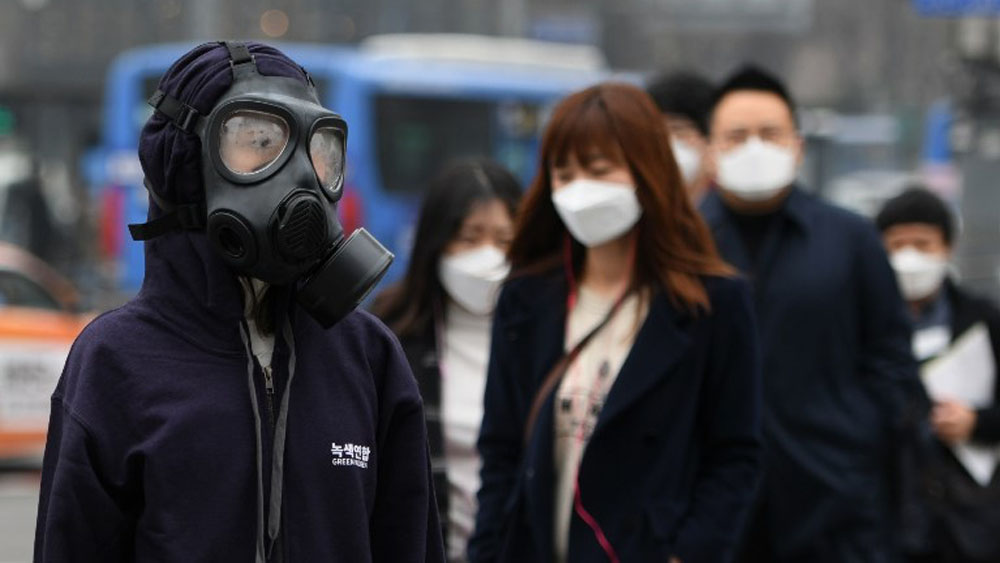 ¿Cuáles son los órganos más afectados por la contaminación? - contaminacion-corea-del-sur