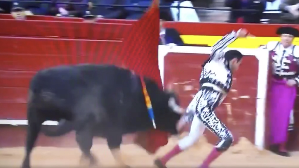 #Video La aparatosa cornada a Enrique Ponce #Video La aparatosa cornada a Enrique Ponce