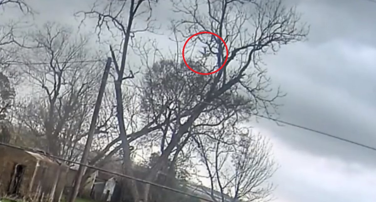 #Video Revelan desplome de avión de Amazon en Texas