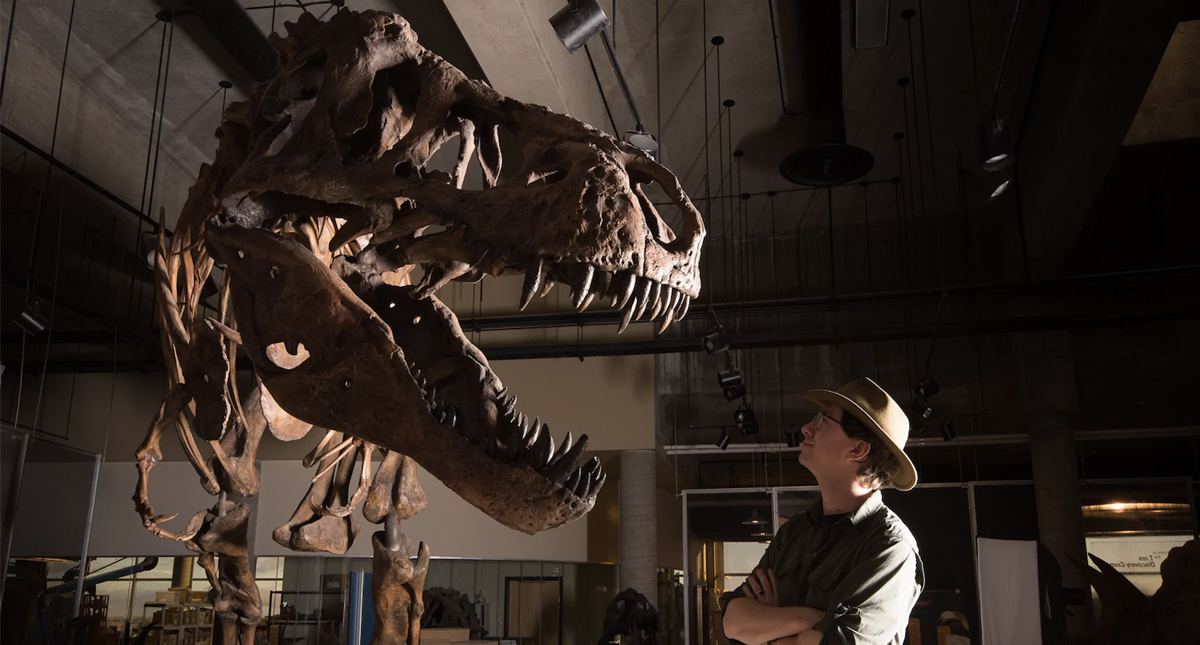 Descubren el Tiranosaurio Rex más grande de la historia - dinosaurio-scotty