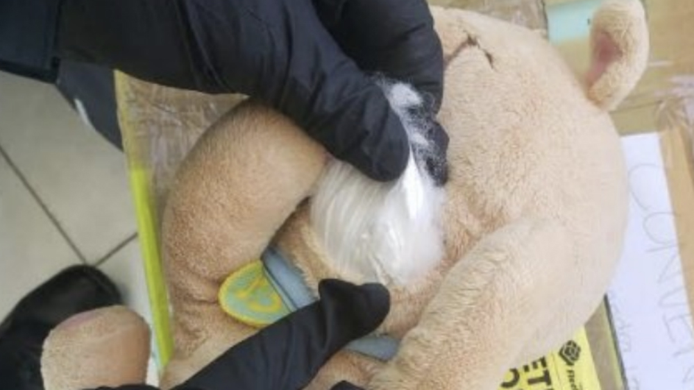 Federales aseguran muñecos de peluche con droga en su interior