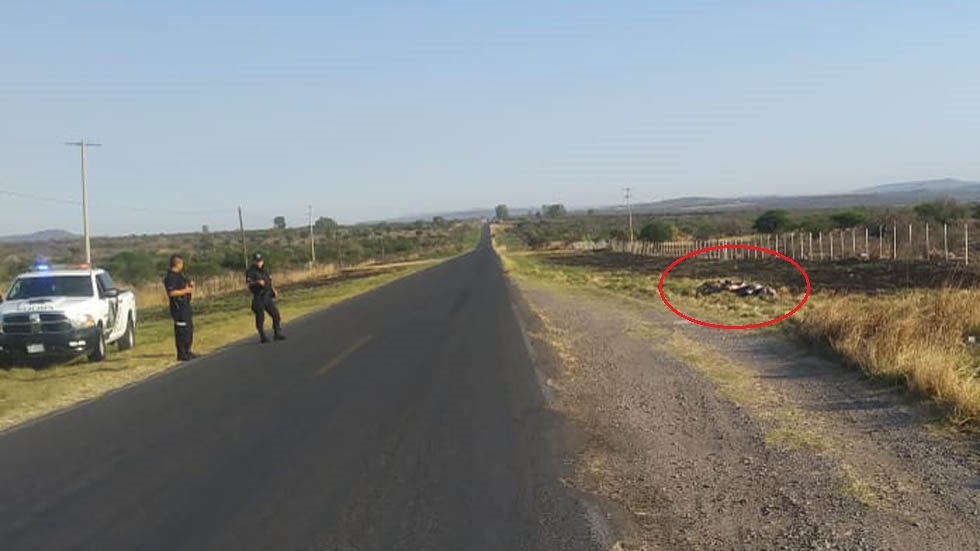 Hallan siete cadáveres a un costado de carretera de Jalisco