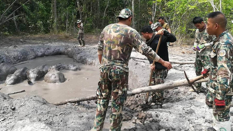 #Video Rescatan a crías de elefante de estanque de lodo en Tailandia - elefantes-bebe-rescatados-tailandia-3