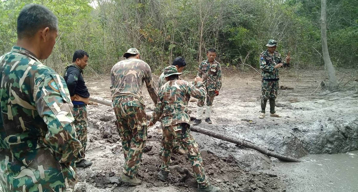 #Video Rescatan a crías de elefante de estanque de lodo en Tailandia - elefantes-bebe-rescatados-tailandia-4