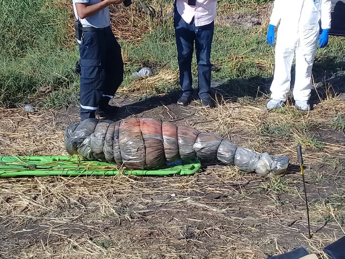 Había una mujer entre cuerpos descubiertos en Jalisco: fiscal estatal - embolsados-jalisco