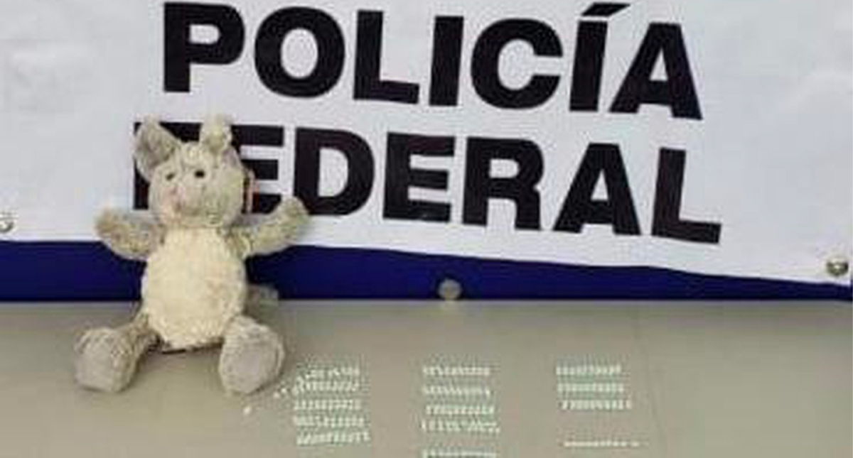 Decomisan 270 pastillas de fentalino escondidas en un oso de peluche