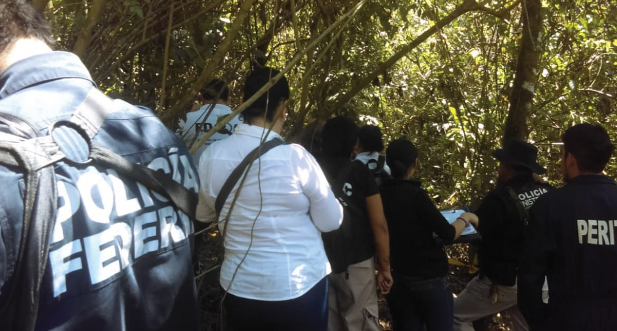 Encuentran 15 cuerpos en fosas clandestinas en Veracruz