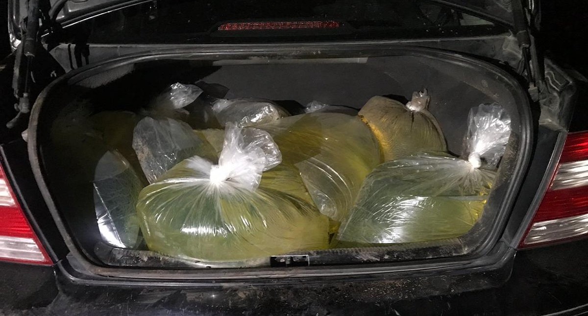 Policía Federal decomisa gasolina ilegal dentro de bolsas