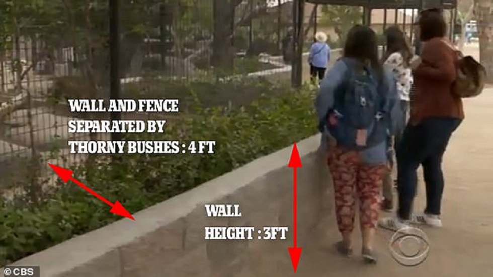 Mujer atacada por jaguar asegura que "aprendió la lección" - habitat-del-jaguar-y-la-distancia-que-tiene-con-la-barrera