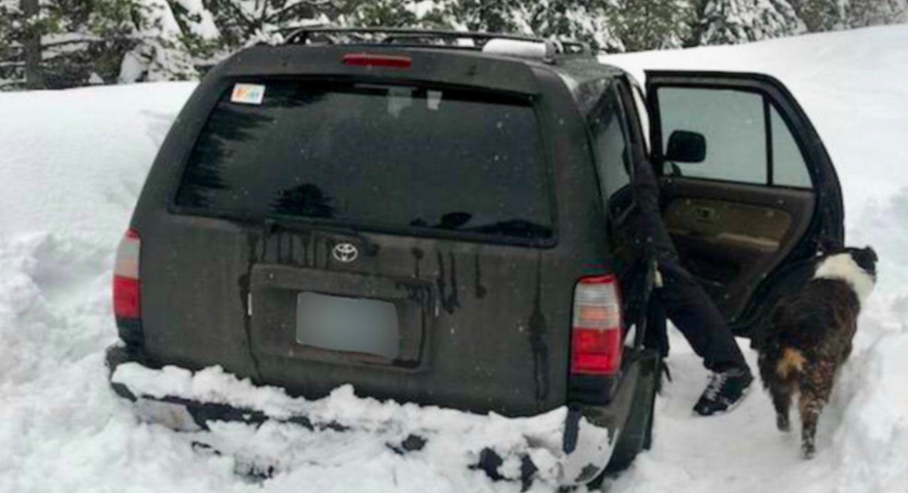 Hombre y su perro sobreviven comiendo salsa picante de Taco Bell