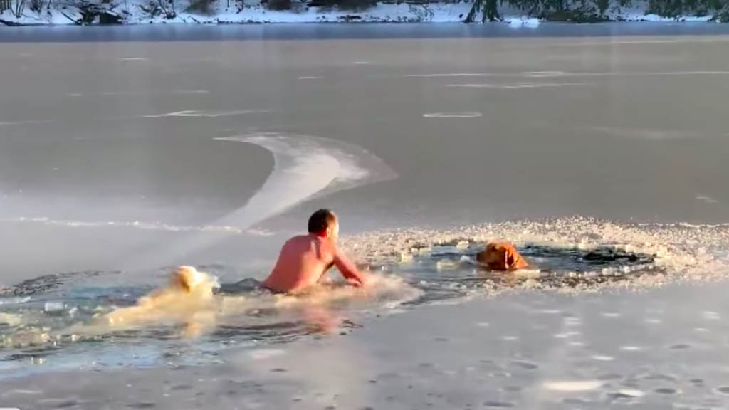 #Video Hombre nada en lago congelado para salvar a perros