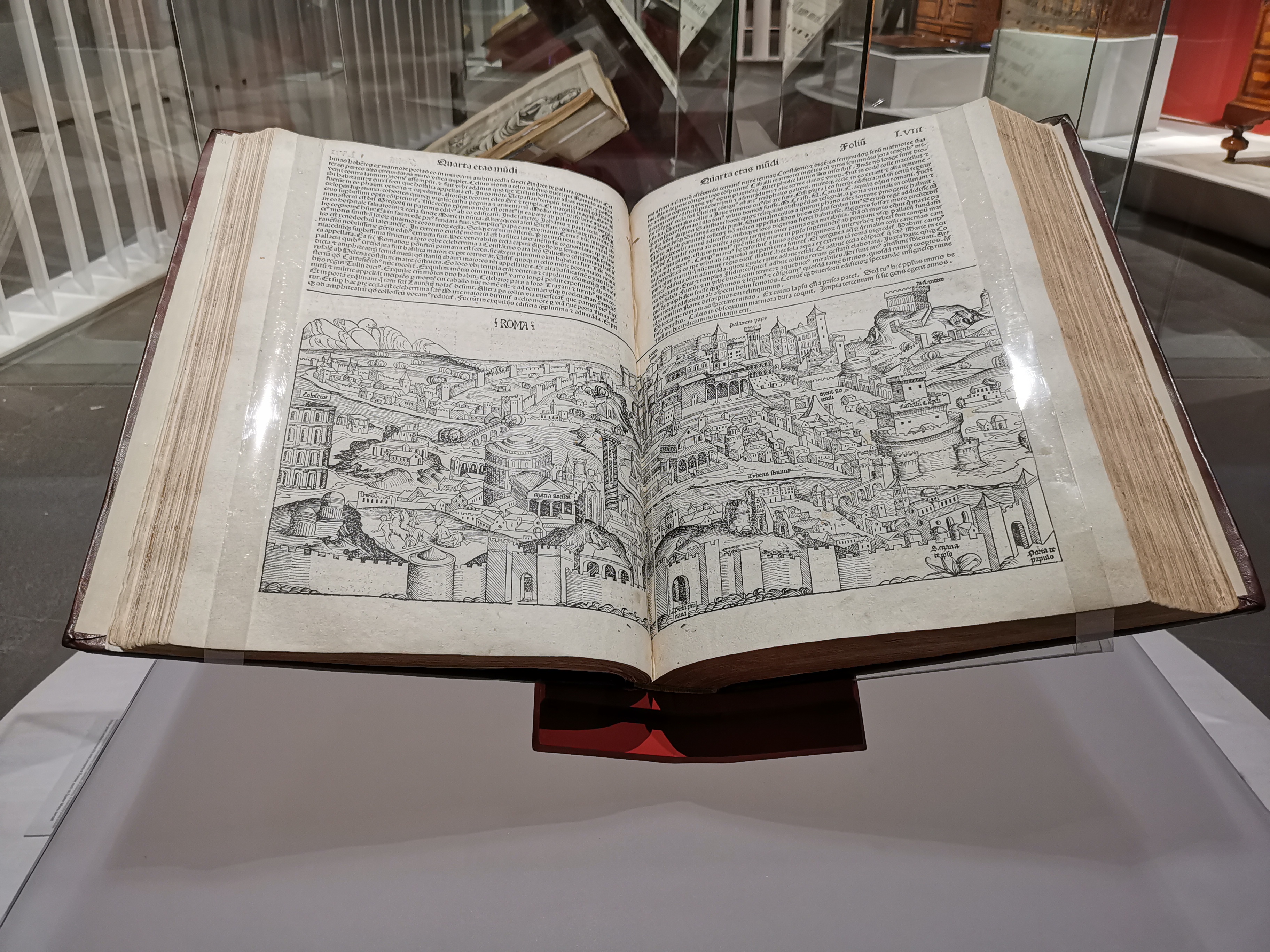 Reúnen cinco siglos en el Museo Franz Mayer