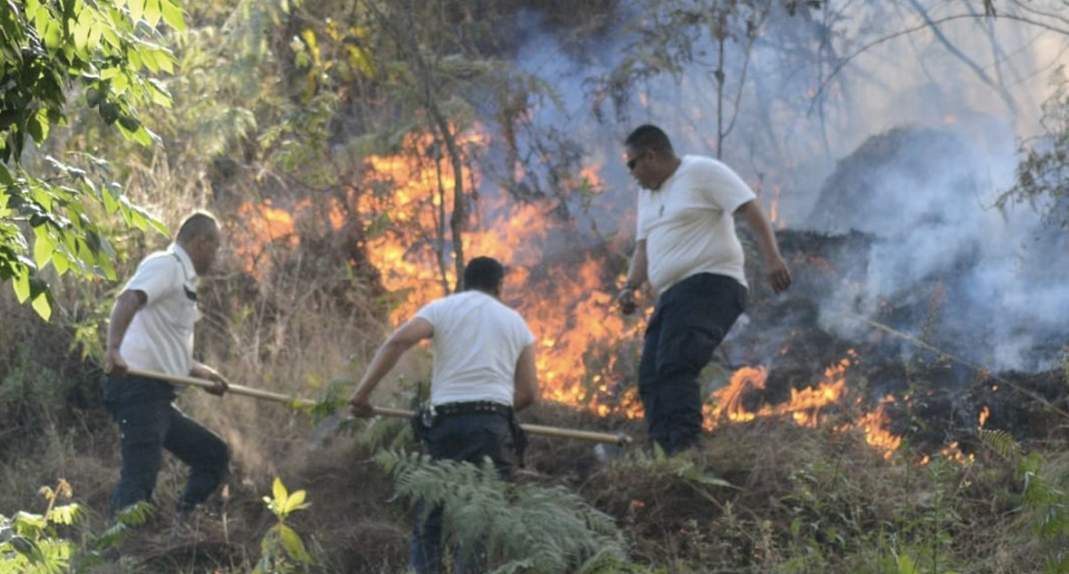 Controlan incendio forestal en Michoacán