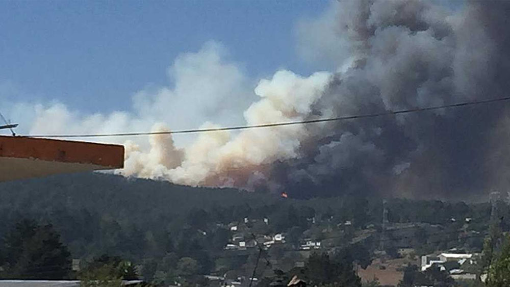 Evacuan a 100 familias por incendio forestal en Veracruz