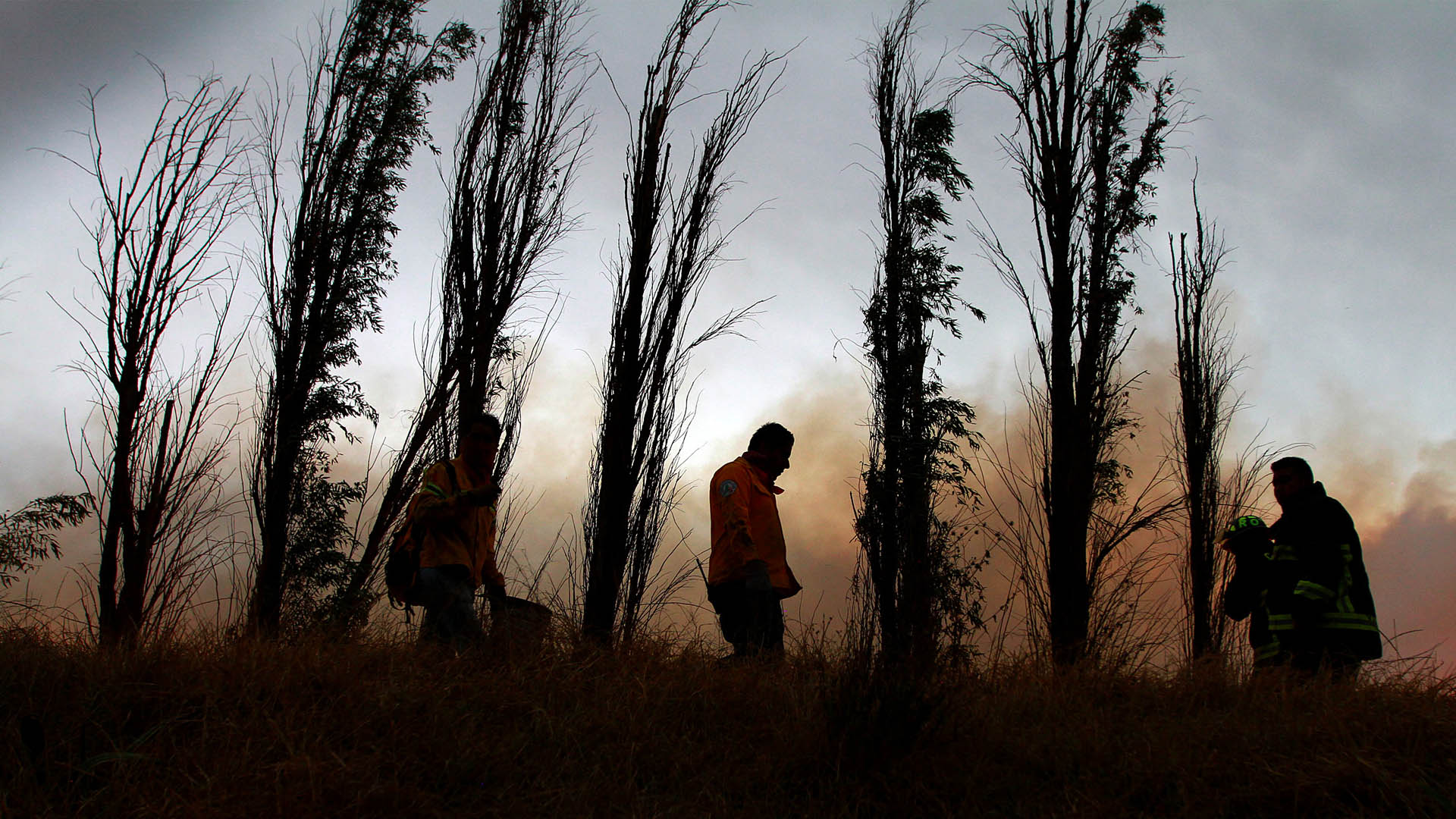 Controlan incendio de pastizales en Xochimilco