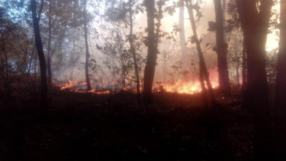 Reportan dos incendios en reservas naturales protegidas de Michoacán