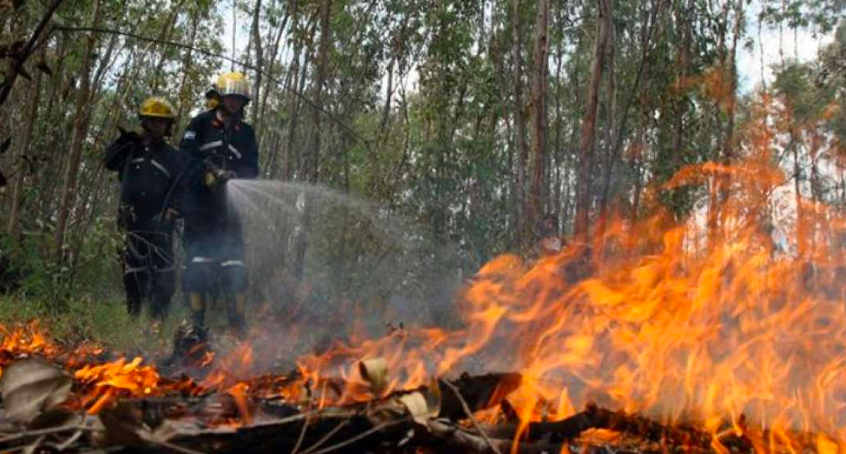 Incendios arrasan más de 700 hectáreas de bosque en Guatemala Incendios arrasan más de 700 hectáreas de bosque en Guatemala