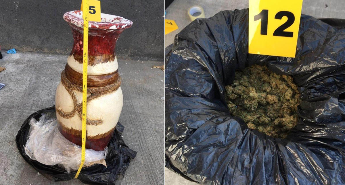 Encuentran mariguana oculta en jarrones decorativos en Michoacán - jarrones-michoacan-mariguana