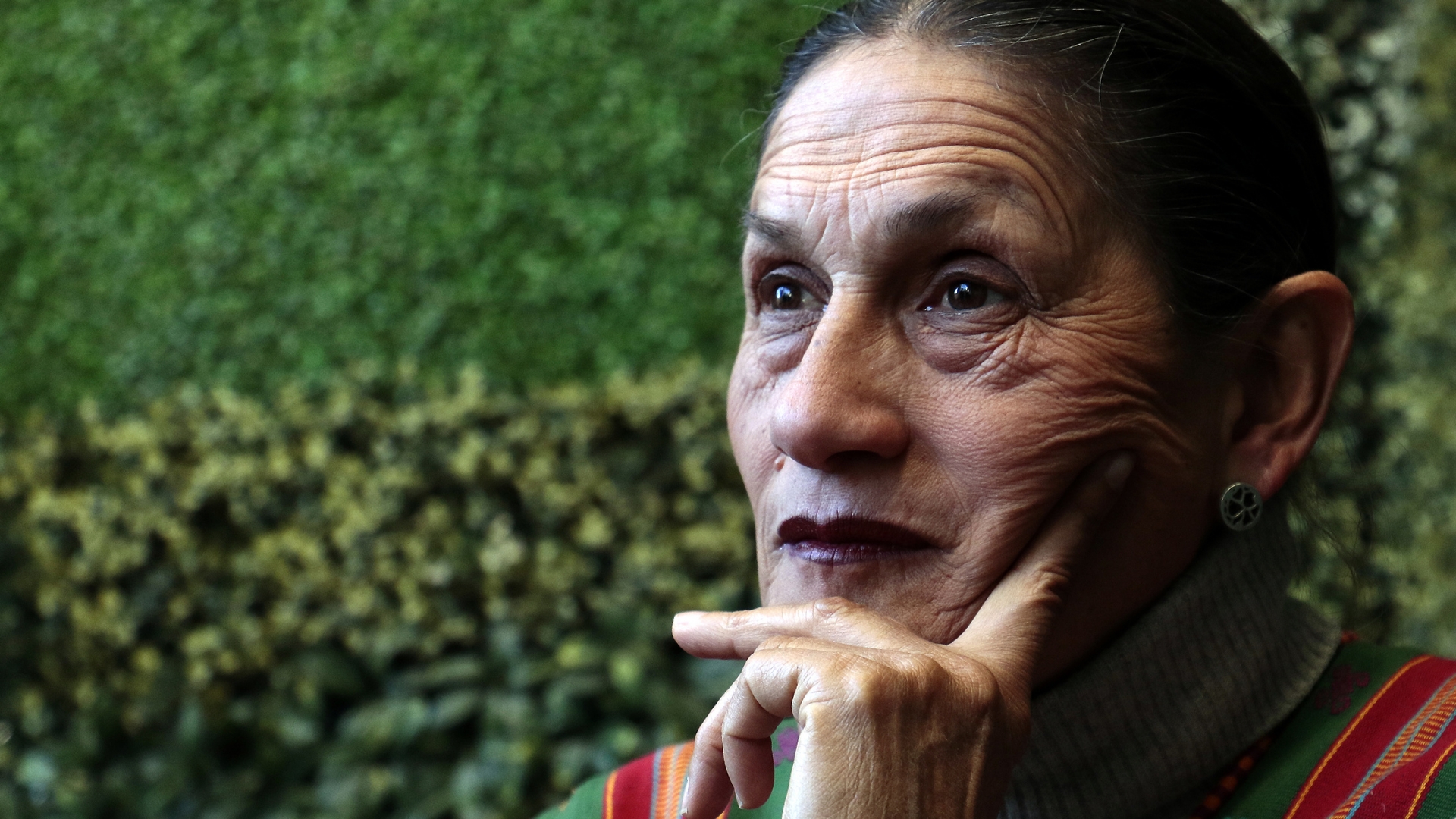 Organización panameña rechaza designación de Jesusa Rodríguez como embajadora