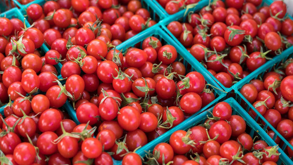 Peligran millones de empleos en México por pugna de jitomate en EE.UU. - jitomates-en-caja