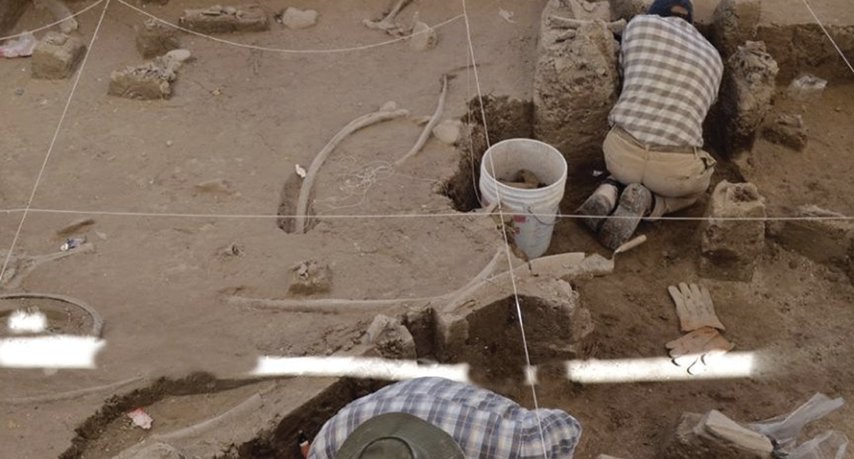 Descubren restos de mamuts en Tultepec