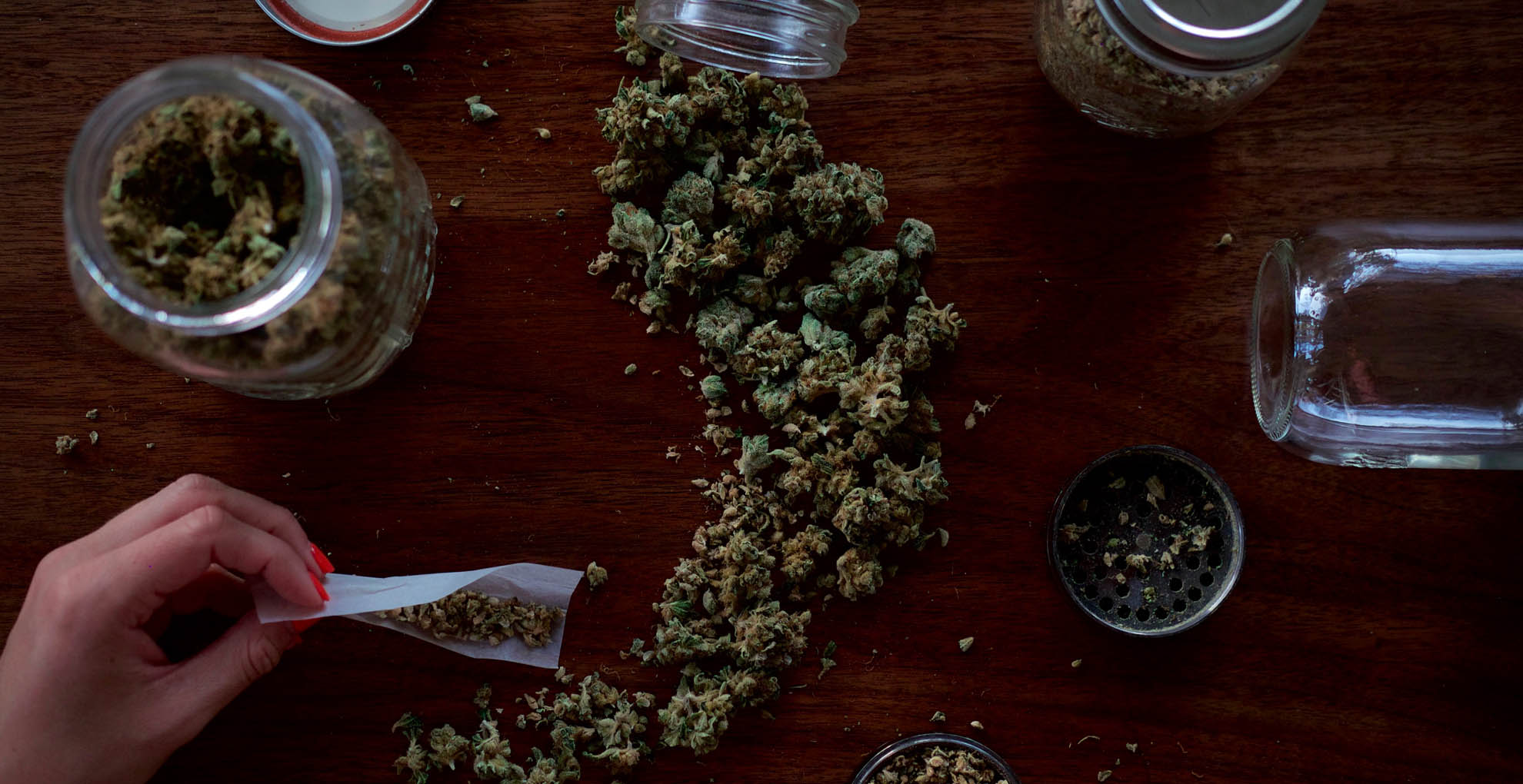 Cofepris revoca lineamientos de control de la cannabis