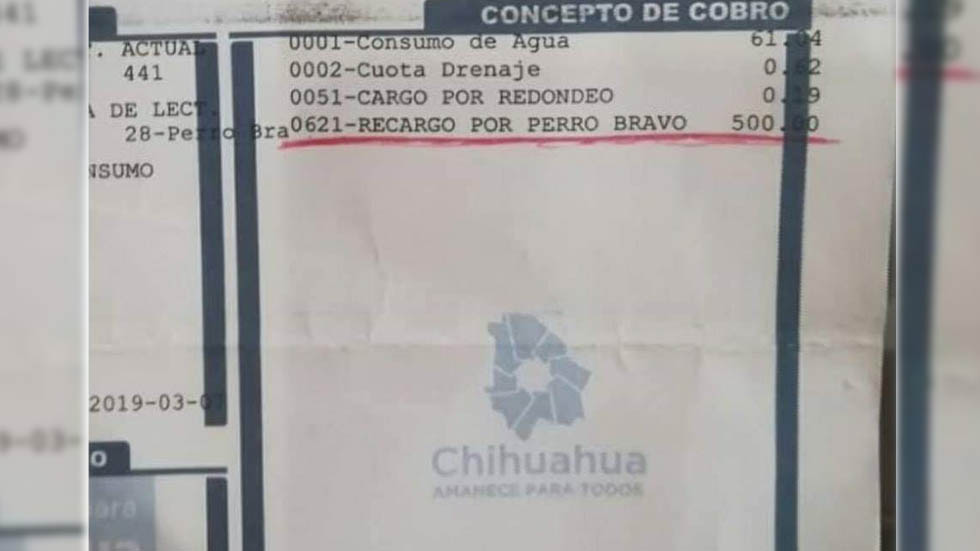 Multan a mujer por sacar a su perro para evitar lectura de agua