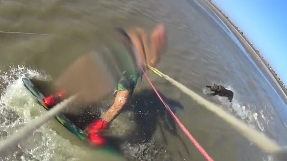 #Video Perro pitbull ataca a hombre en costa de Argentina #Video Perro pitbull ataca a hombre en costa de Argentina