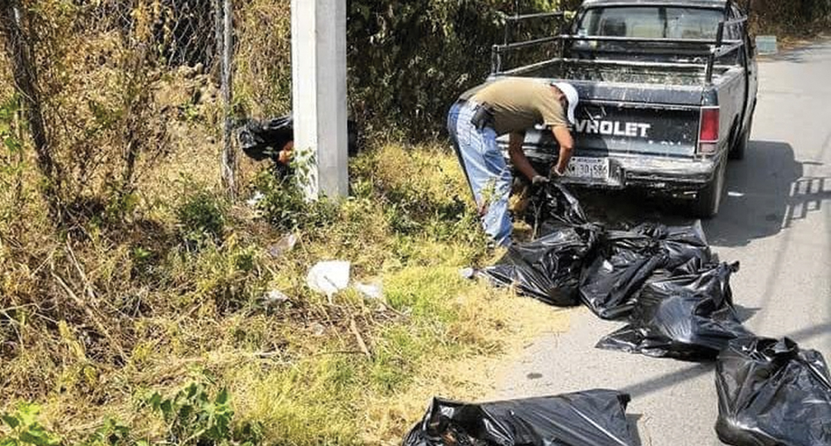 Aparecen 12 perros muertos en Morelos