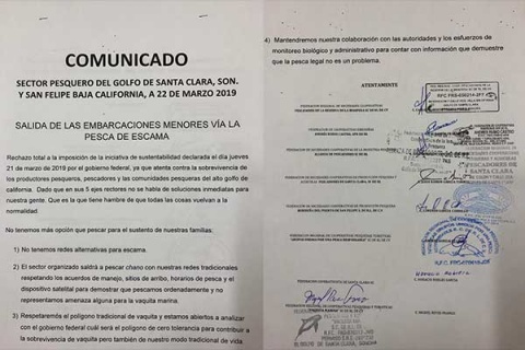 Pescadores regresarán al habitat de la vaquita marina - pescadores-vaquita-marina