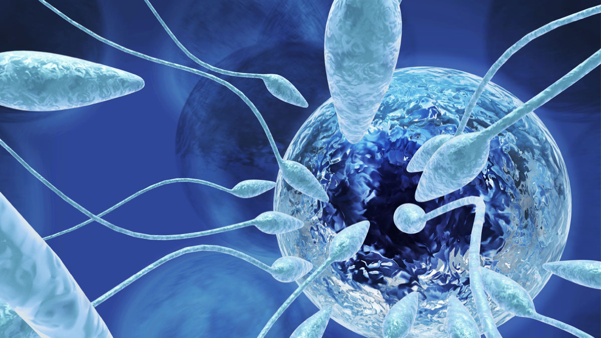 Derecho a la reproducción asistida está garantizado en la Constitución: SCJN