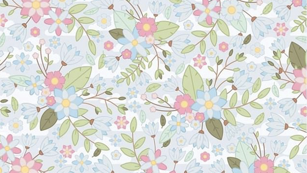 #RetoViral ¿Puede encontrar el plumero entre las flores?