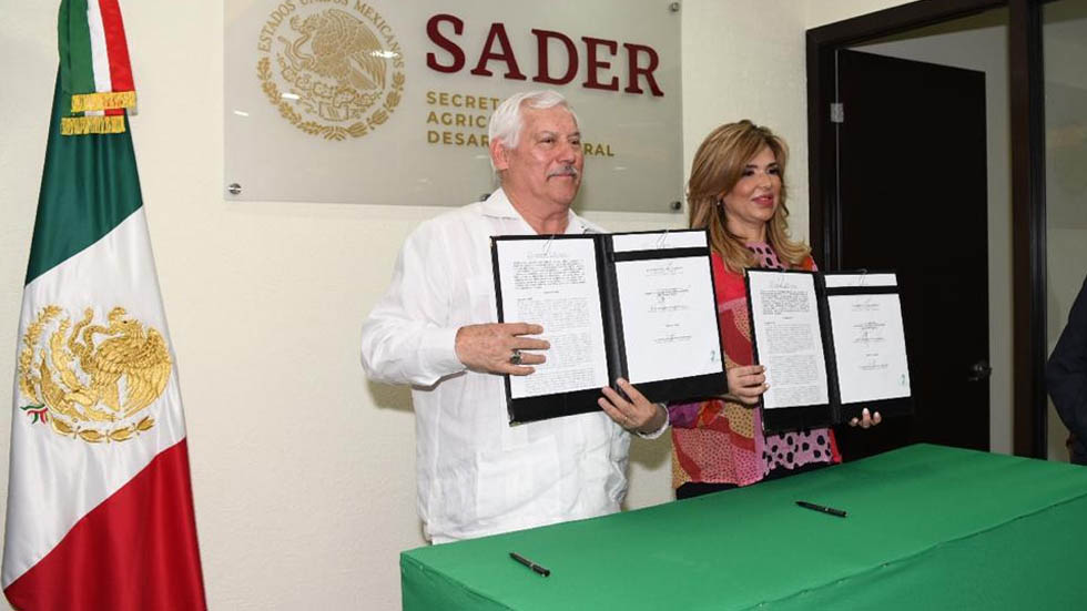 Secretaría de Agricultura es la primera en desconcentrarse